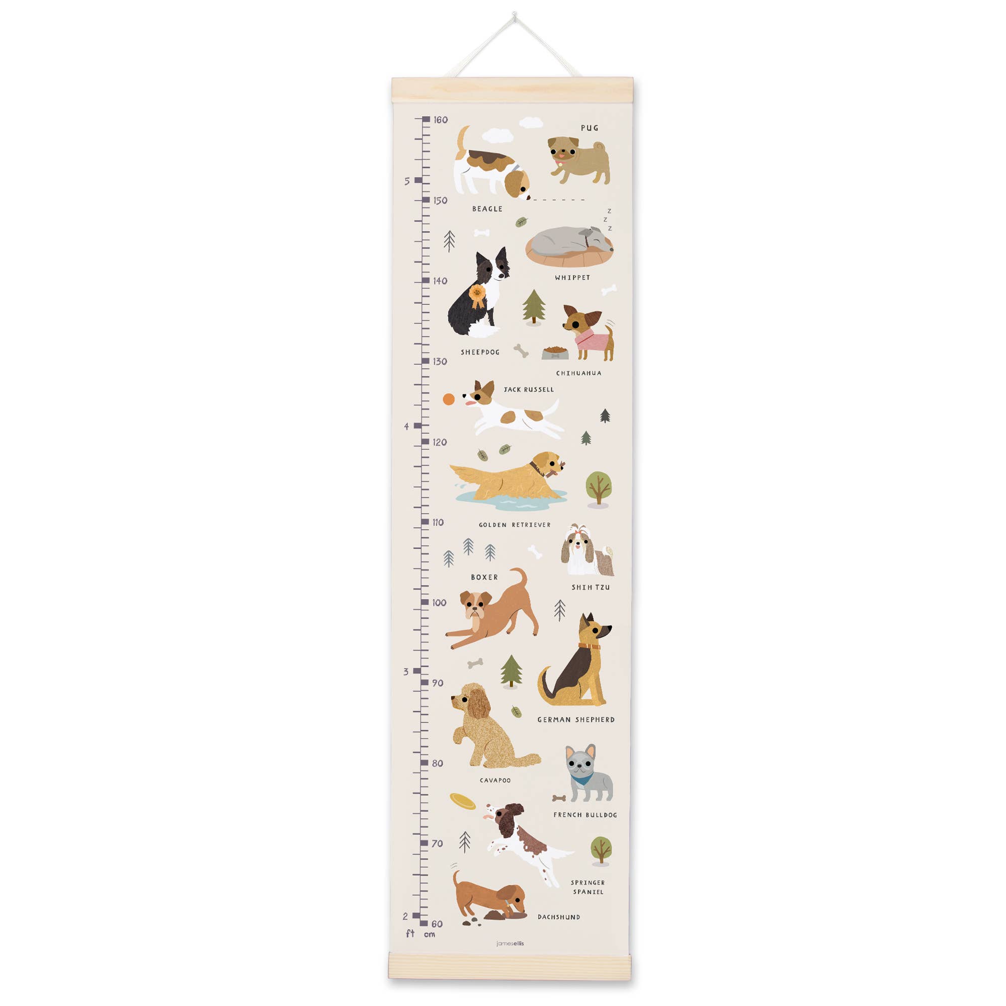 Dogs Growth Height Chart