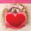 For my gorgeous Wife on our Anniversary card