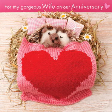 For my gorgeous Wife on our Anniversary card