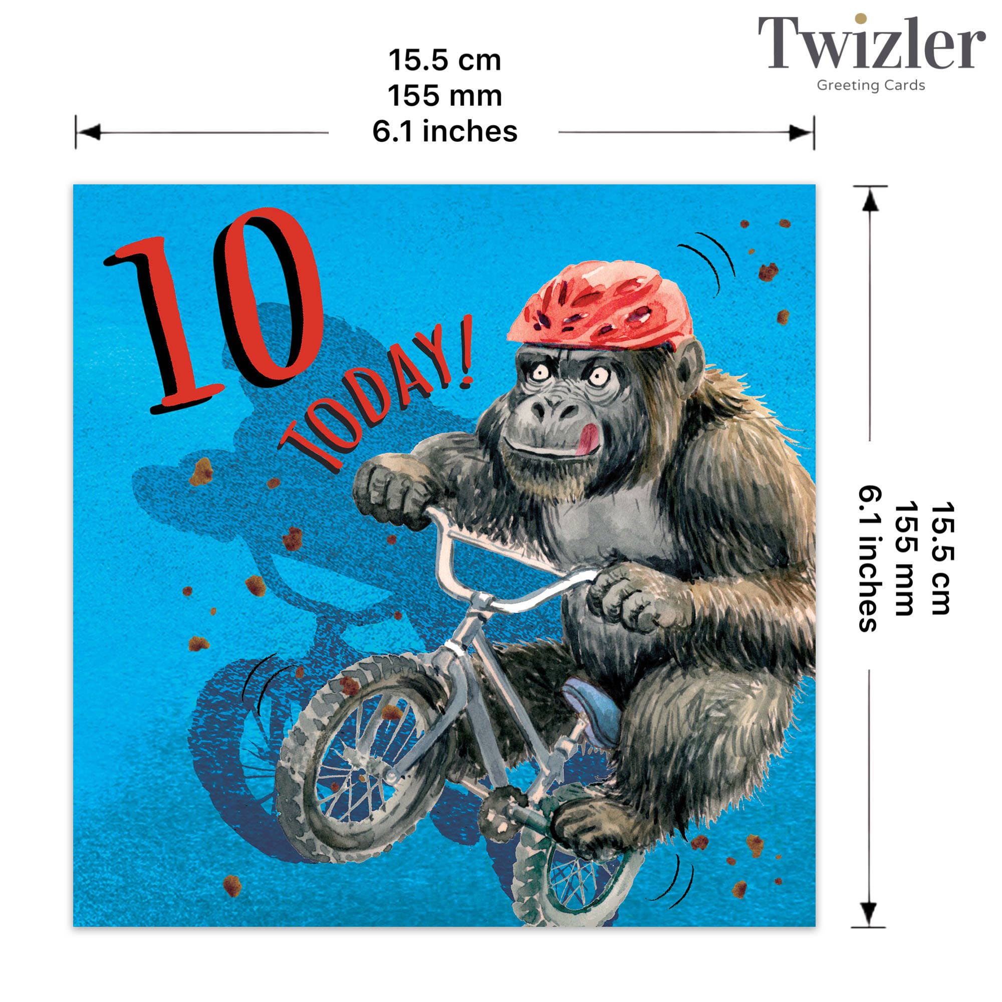 Age 10 Birthday Card - Bike - Gorilla