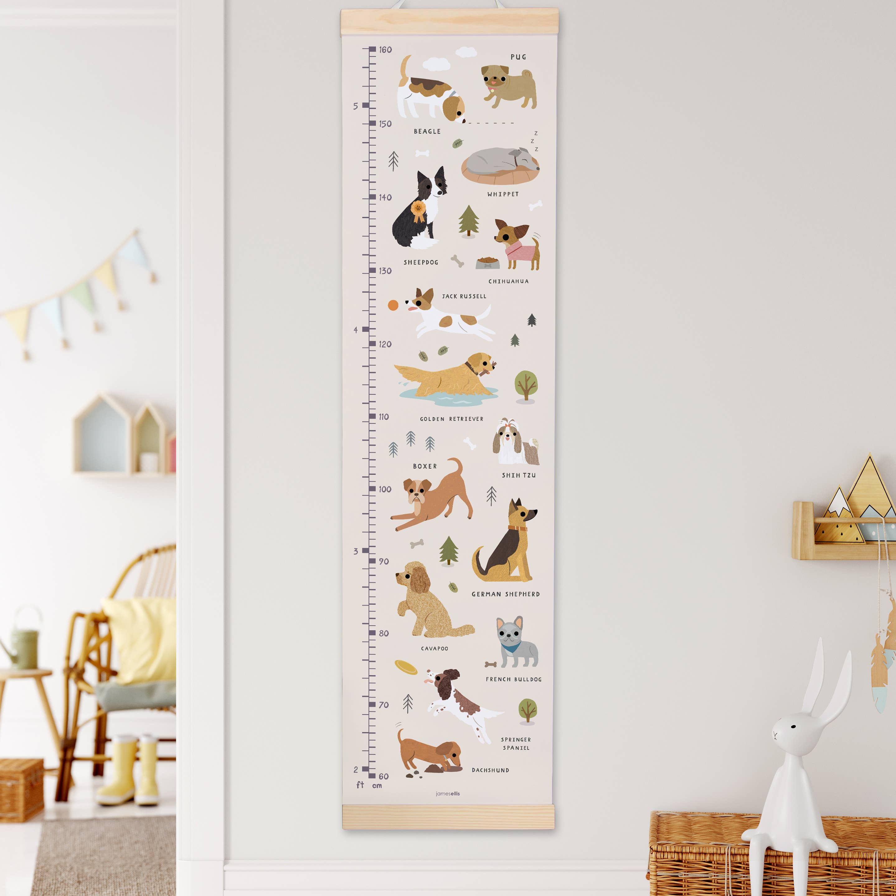 Dogs Growth Height Chart