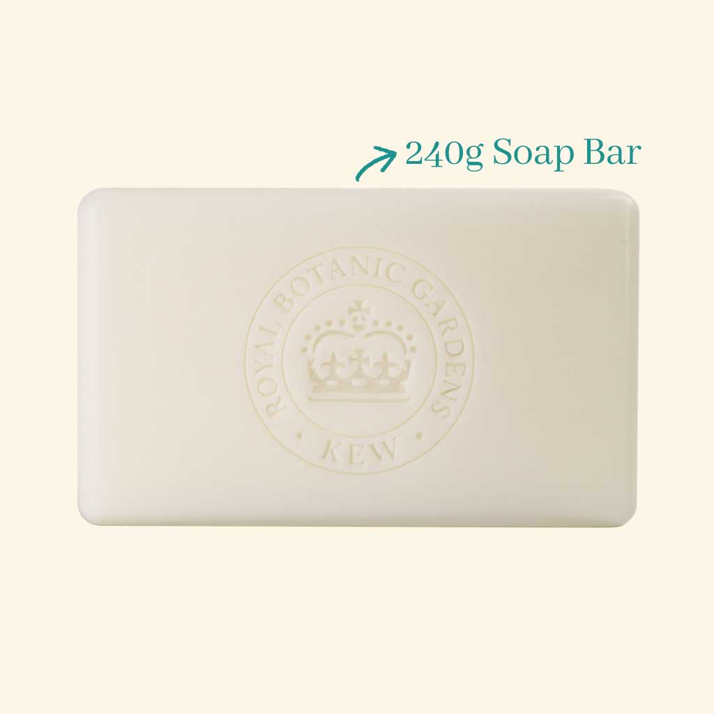 Kew Gardens Sandalwood and Pink Pepper Soap