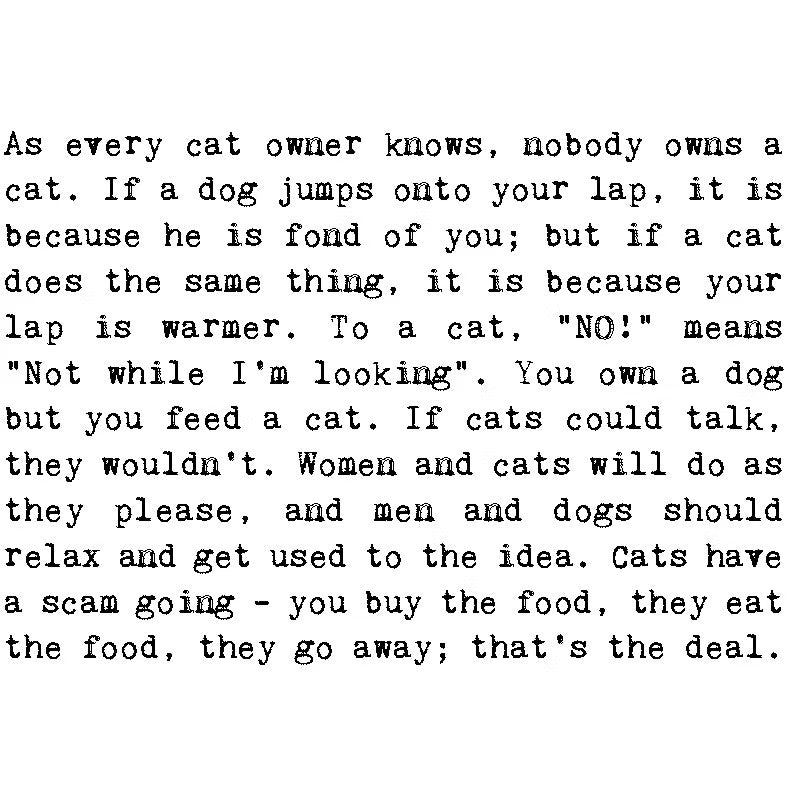 Cat Lover Quotes Card