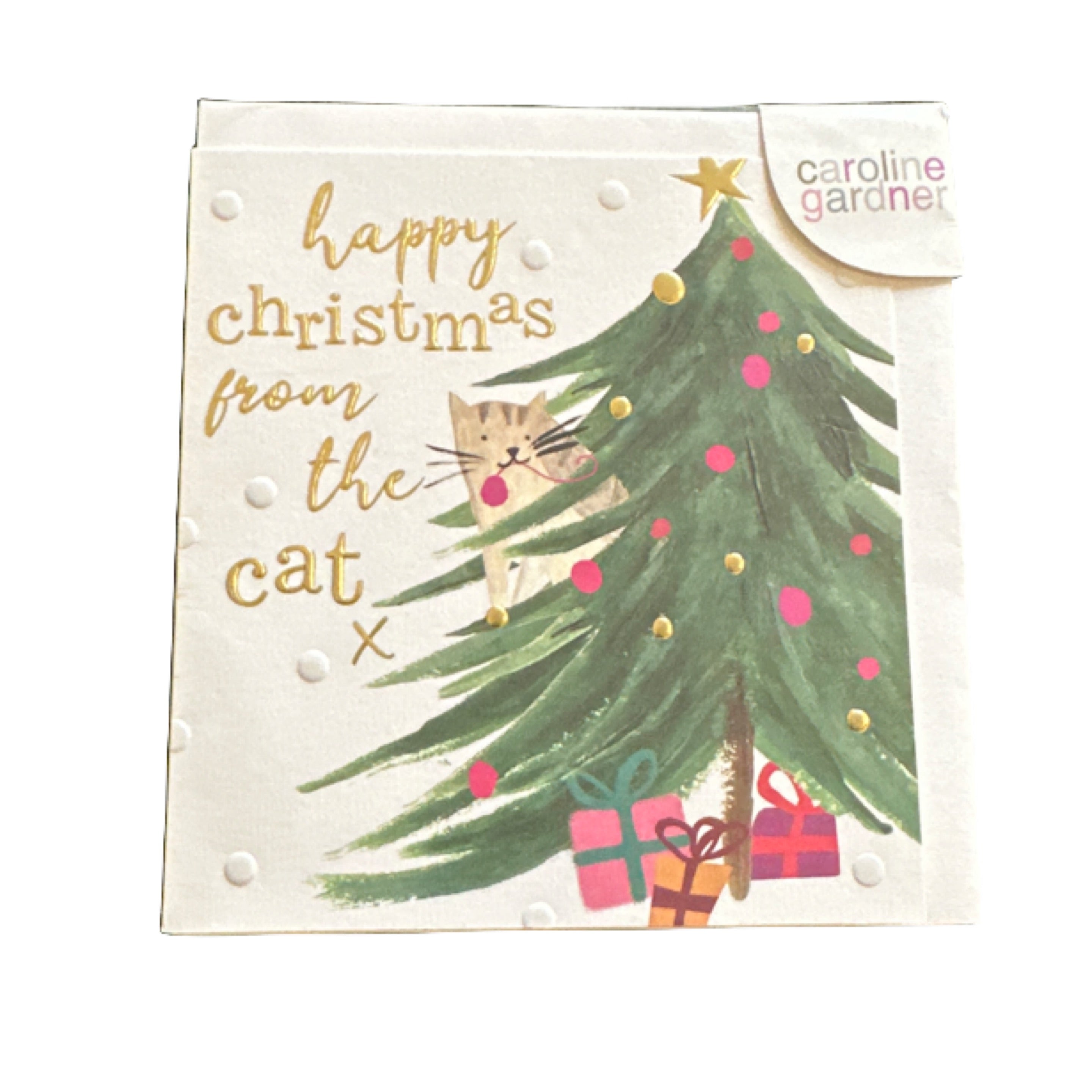 Happy Christmas from the Cat Card