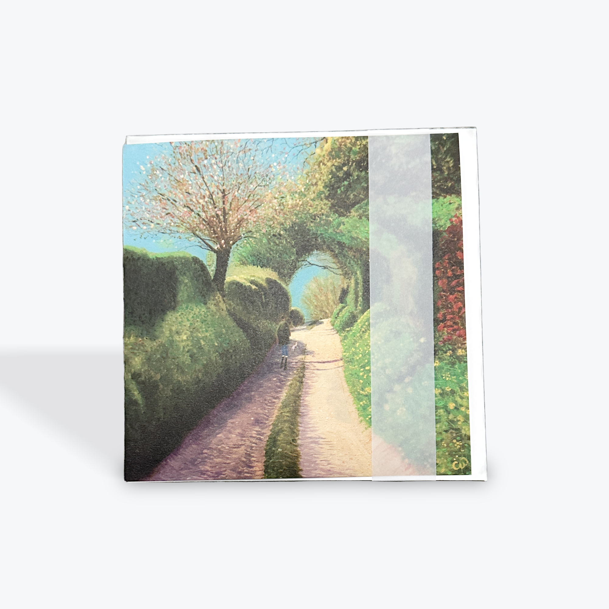 Country Walk - Greeting Card
