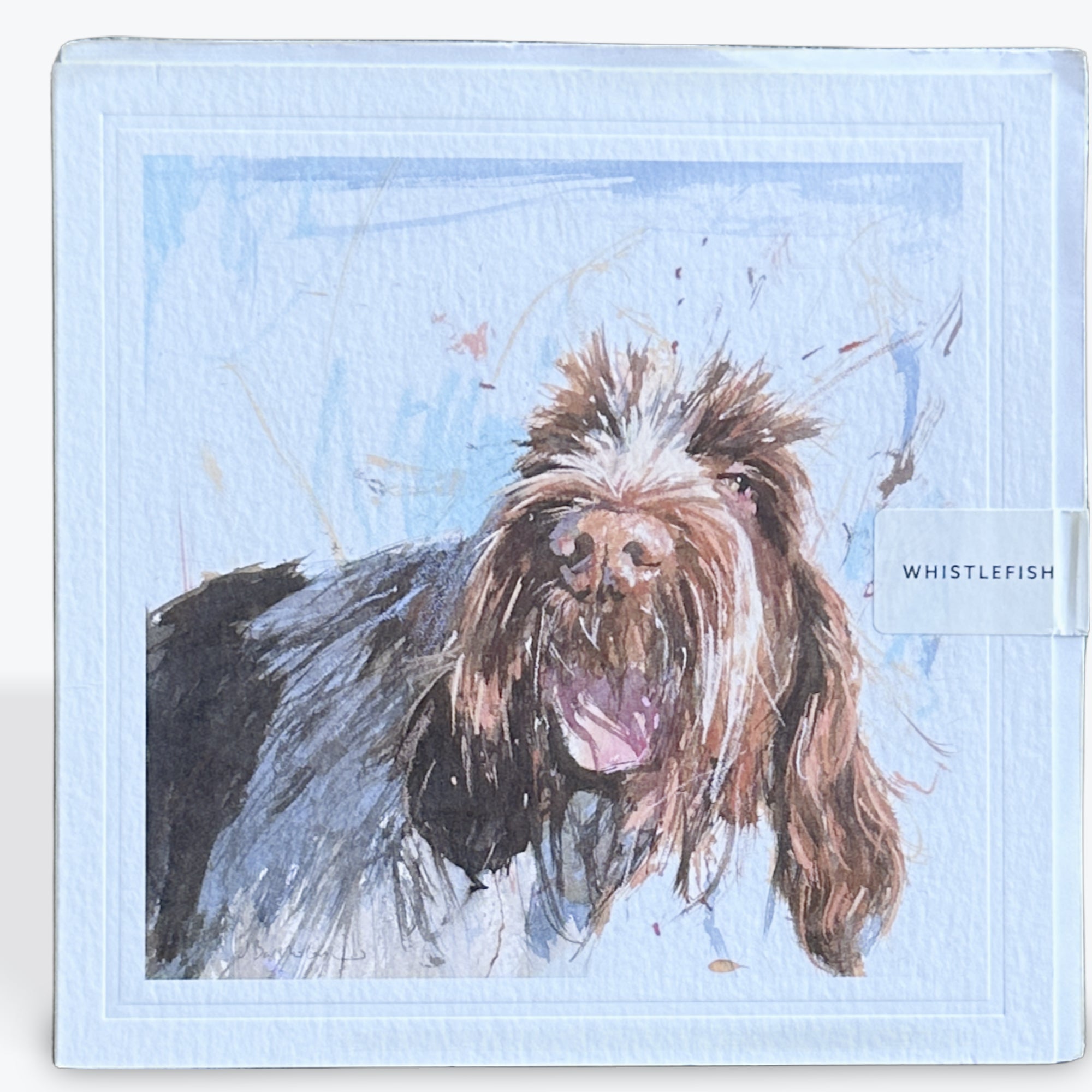 Spinone - Card