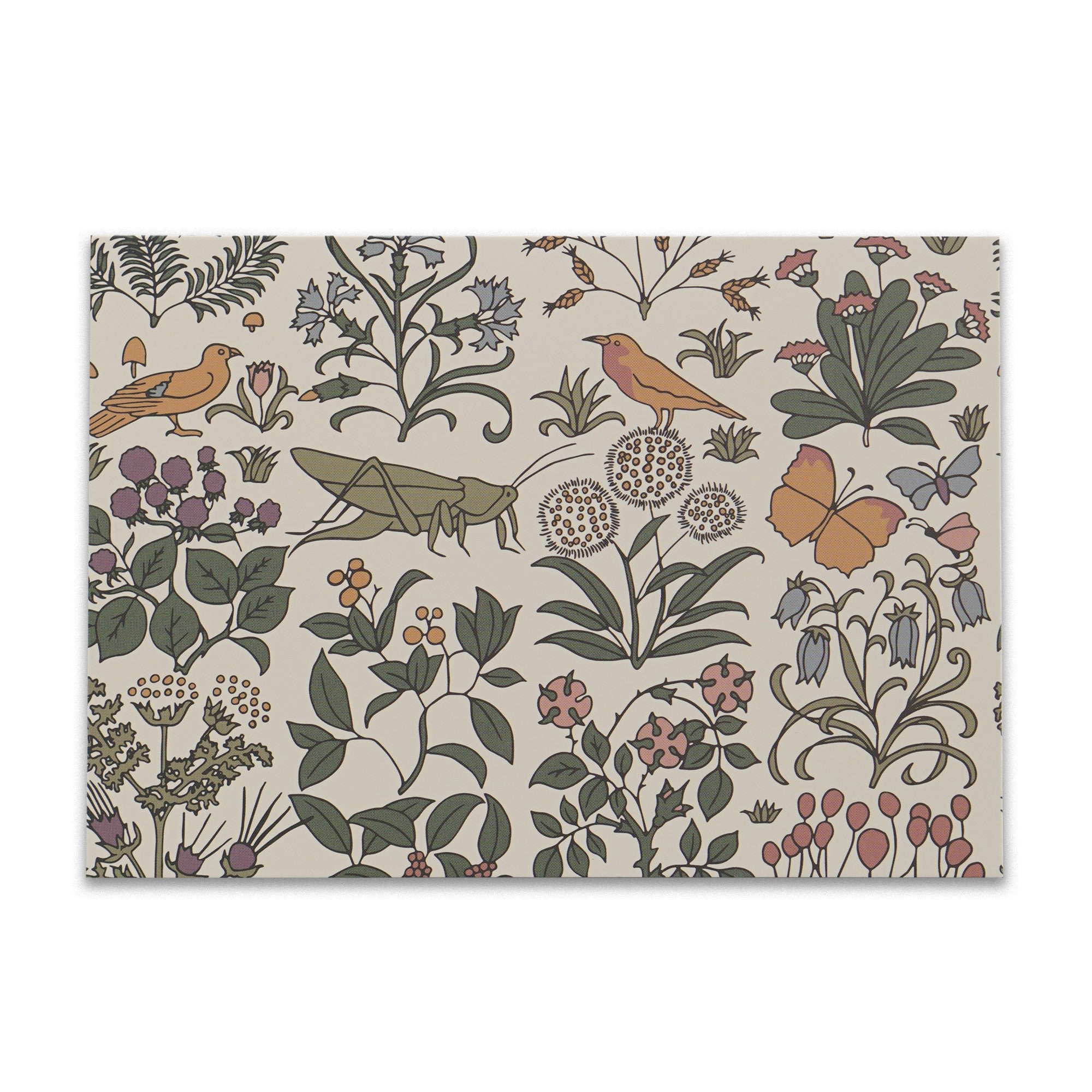 Boxed Set of 12 Card & Envelopes - Apothacary Garden