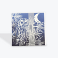 Owl Amongst The Pines Card