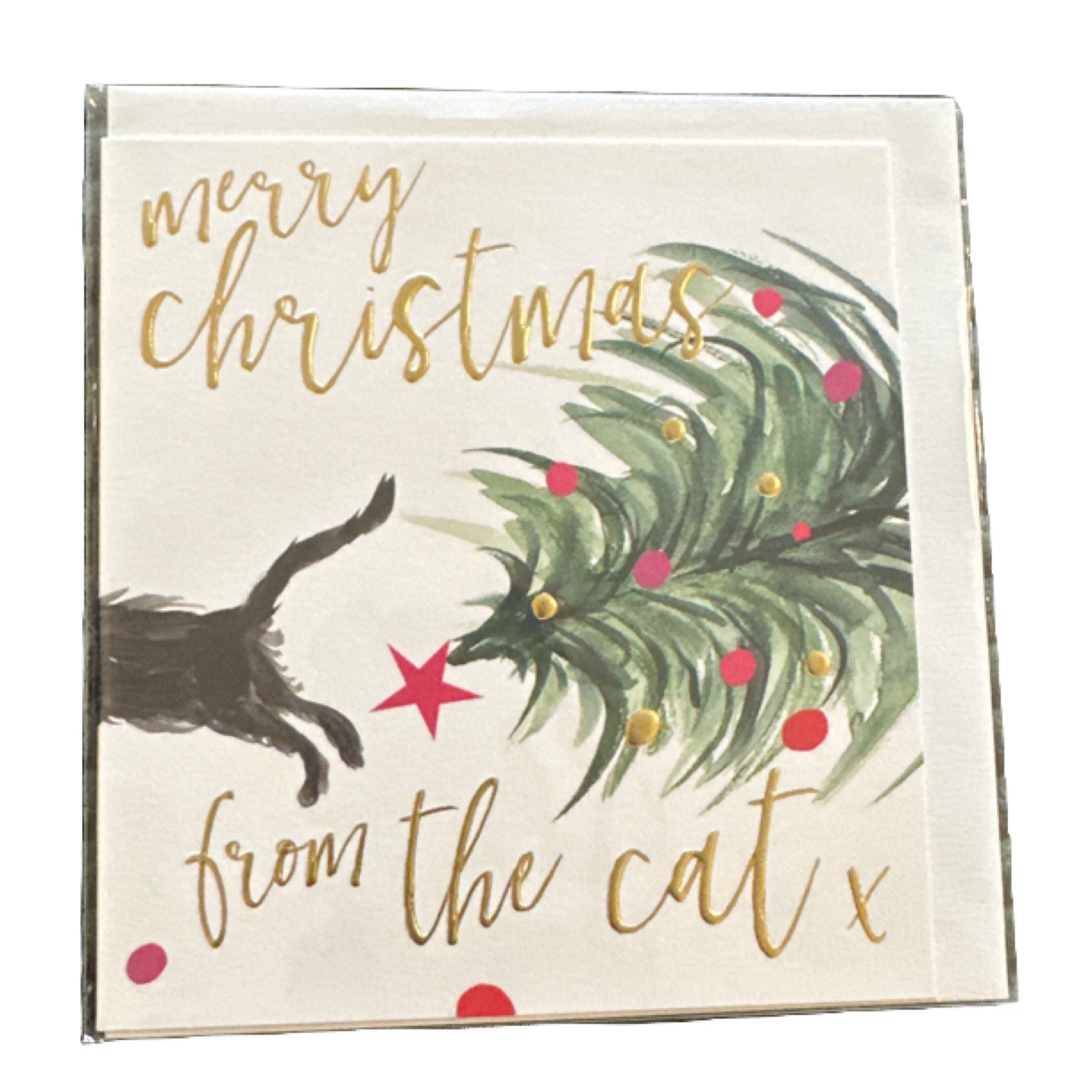 Merry Christmas from the Cat Card