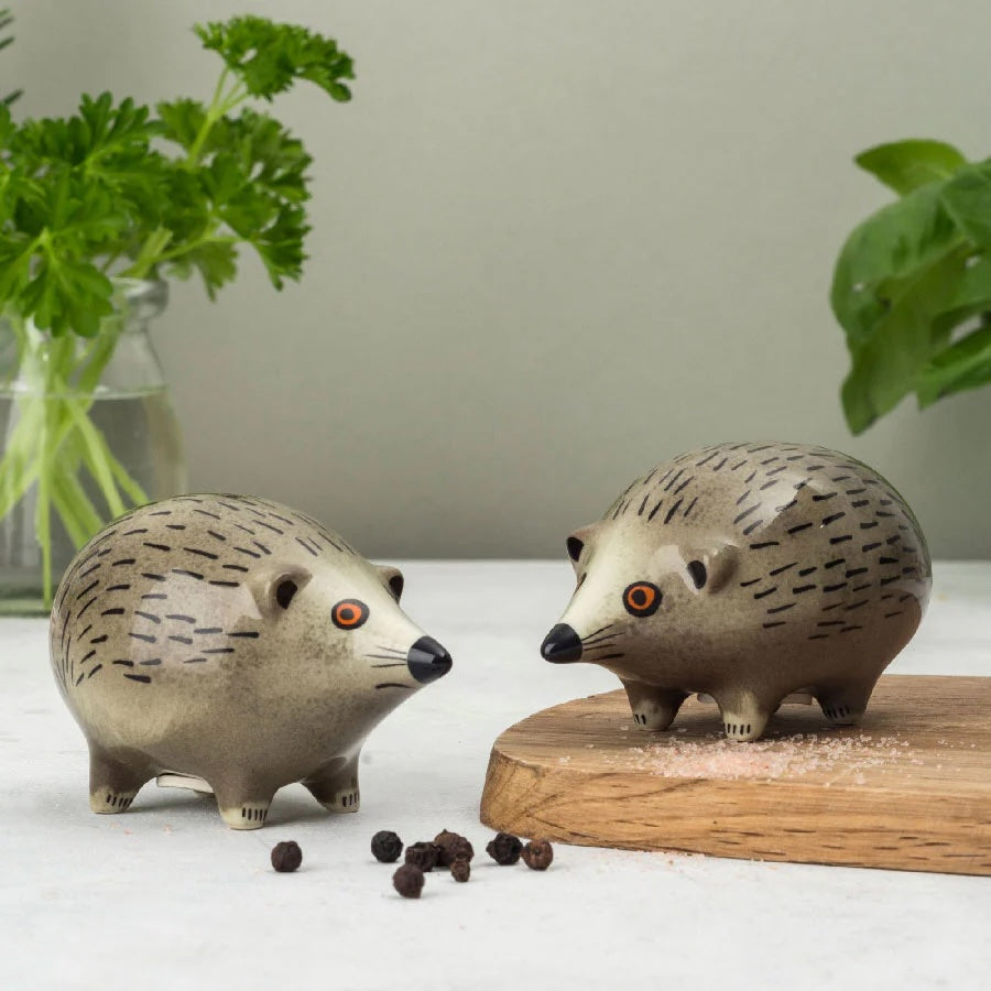 Hedgehog Salt and Pepper Shakers by Hannah Turner