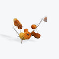 Autumn Mix Velvet Pumpkin Garland 150cm